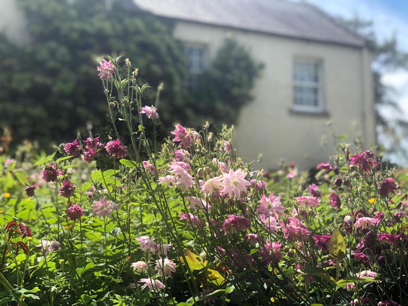Dalton House Bed And Breakfast Exterior foto